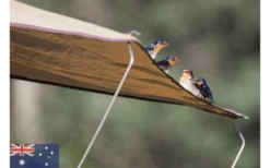 Tenda Da Tetto Gordigear 165 Plus Per 3 Persone Con Tenda Da Sole 165 X 320 Cm Grigio 13 Tenda Da Tetto Gordigear 165 Plus Per 3 Persone Con Tenda Da Sole 165 X 320 Cm Grigio -Berger 585663 3986115