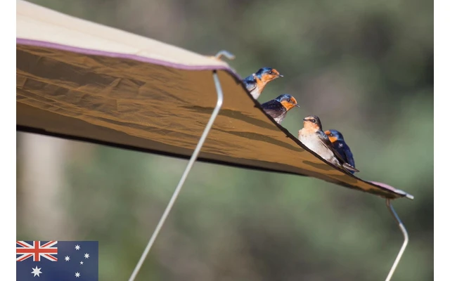 Tenda Da Tetto Gordigear 165 Plus Per 3 Persone Con Tenda Da Sole 165 X 320 Cm Grigio 7 Tenda Da Tetto Gordigear 165 Plus Per 3 Persone Con Tenda Da Sole 165 X 320 Cm Grigio - immagine 7